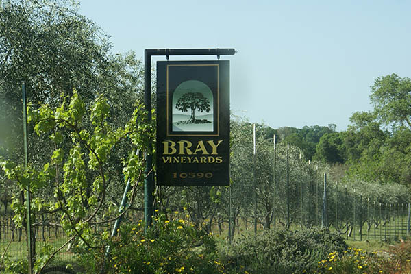 Slide image 31 Bray Vinyards